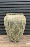 Private Sale item#4 Apollo Jar