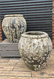 Private Sale item#41 Pair of Standard Planters