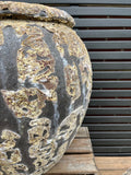 Private Sale item#41 Pair of Standard Planters