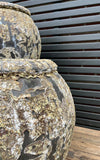 Private Sale item#41 Pair of Standard Planters
