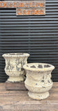 Private Sale item#23 Holyrood Planter small(pair)