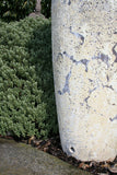 Tall Ribbed Jar